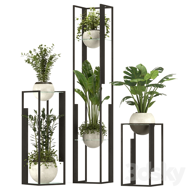 Collection Indoor Plants Nim12 3DS Max Model - thumbnail 3