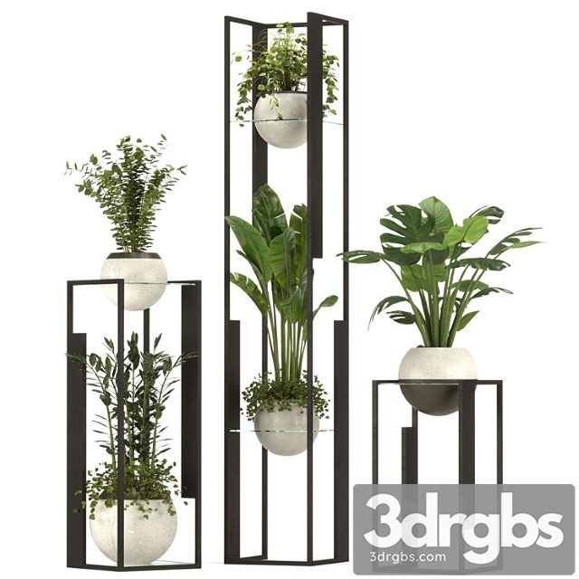 Collection Indoor Plants Nim12 3dsmax Download - thumbnail 1