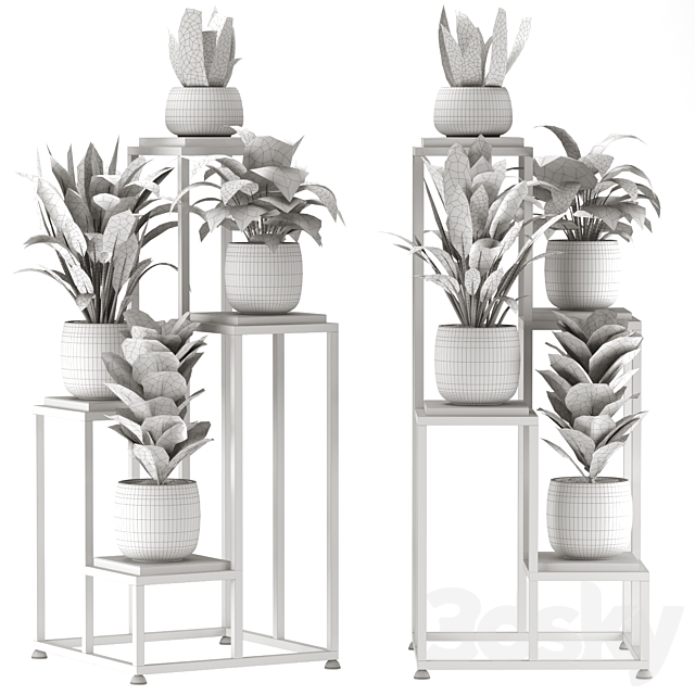 Collection Indoor Plants Set Nim08 3DS Max Model - thumbnail 6