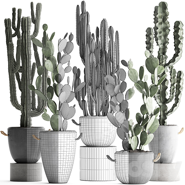 Collection of beautiful cacti in modern concrete pots and vases with Cereus. Prickly pear. indoor plants. outdoor. desert plants. Set 386. 3DSMax File - thumbnail 3