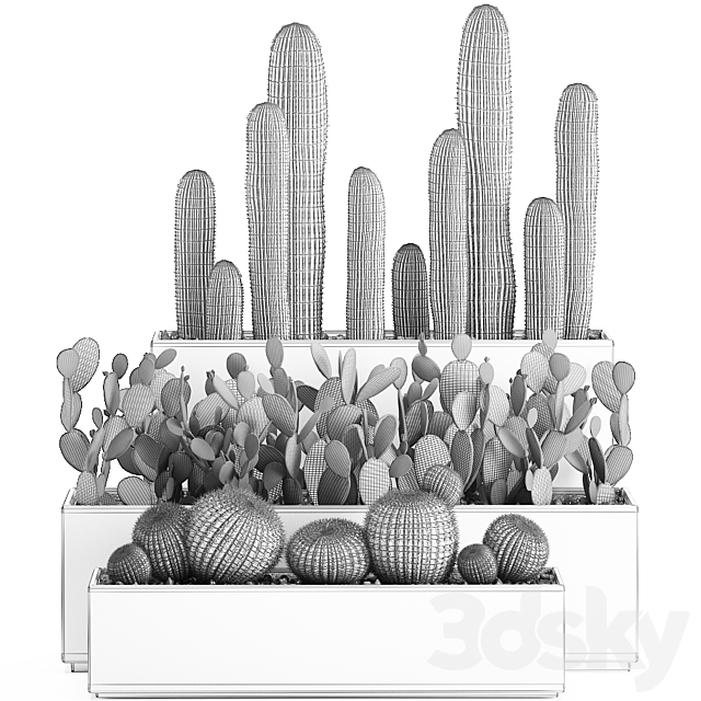 Collection of cacti in white pots Prickly pear Barrel cactus Echinocactus desert plants Garden Prickly pear. Set 578. 3DS Max Model - thumbnail 5