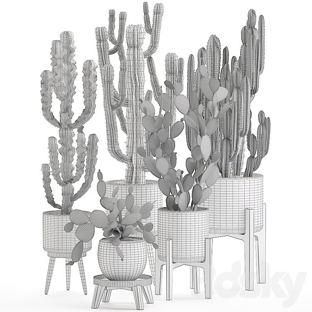 Collection of cacti in white pots Prickly pear. cereus. Carnegie. Milkweed. indoor. desert plants. Prickly pear. Set 571. 3DSMax File - thumbnail 5