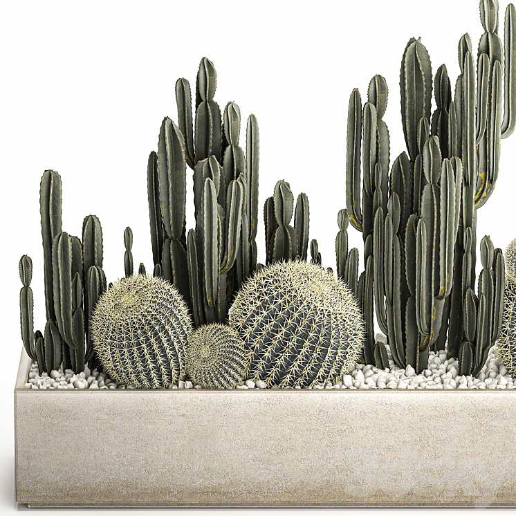 Collection of desert plants in a vase of cacti cereus and echinocactus barrel cactus. Set 1097. 3DS Max - thumbnail 2