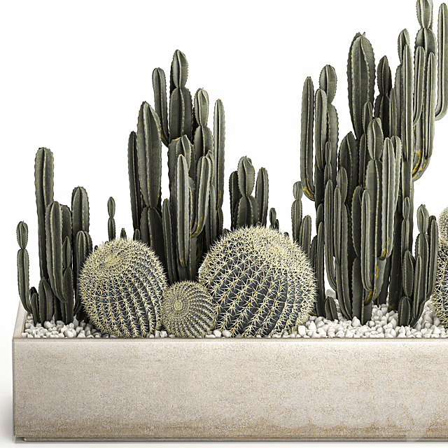 Collection of desert plants in a vase of cacti. cereus and echinocactus. barrel cactus. Set 1097. 3DSMax File - thumbnail 2