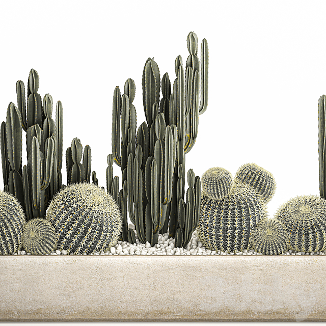 Collection of desert plants in a vase of cacti. cereus and echinocactus. barrel cactus. Set 1097. 3DSMax File - thumbnail 4