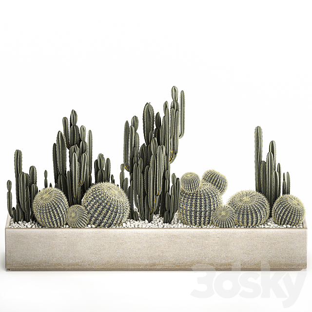 Collection of desert plants in a vase of cacti. cereus and echinocactus. barrel cactus. Set 1097. 3DSMax File - thumbnail 6