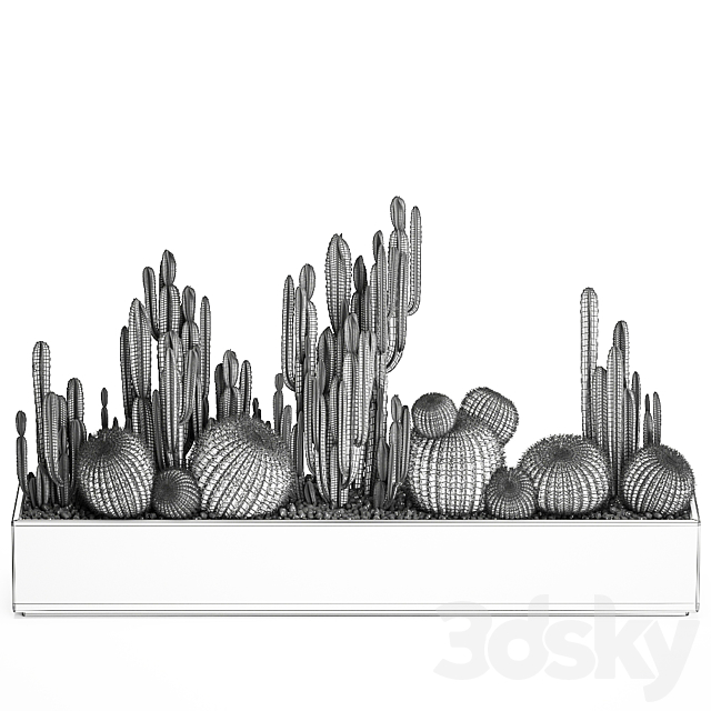 Collection of desert plants in a vase of cacti. cereus and echinocactus. barrel cactus. Set 1097. 3DSMax File - thumbnail 7