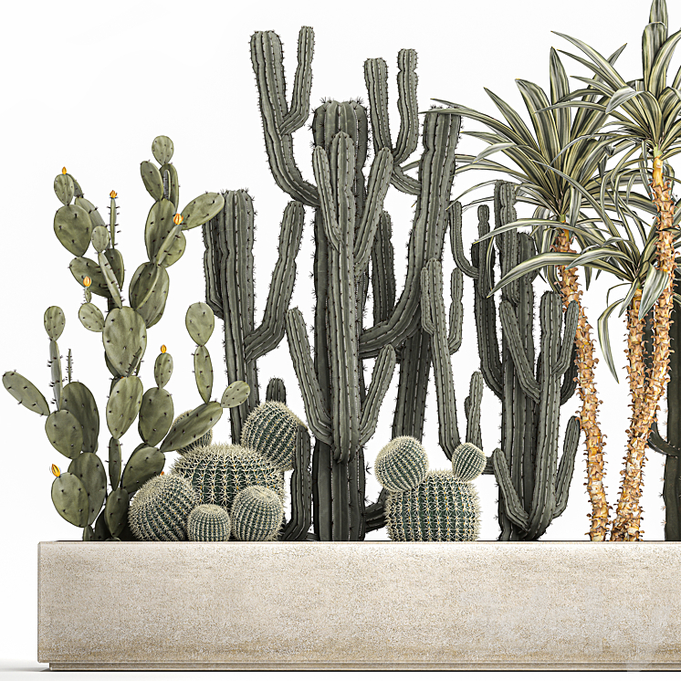 Collection of desert plants in a vase of cacti prickly pear Dracaena carnegie echinocactus garden. Set 1096. 3DS Max Model - thumbnail 2