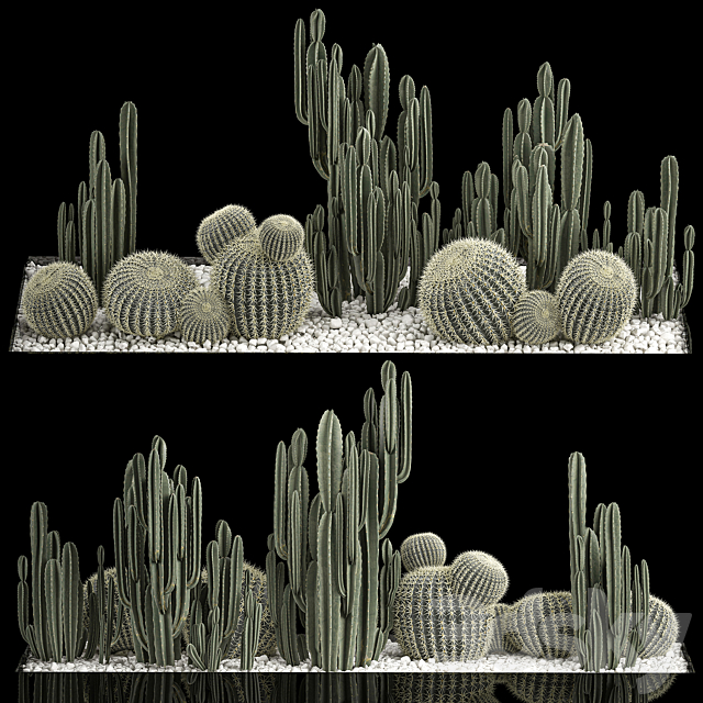 Collection of desert plants with cactus garden Cereus barrel cactus. 1115. 3ds Max - thumbnail 1