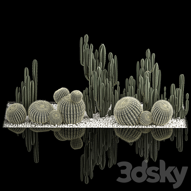 Collection of desert plants with cactus garden Cereus barrel cactus. 1115. 3ds Max - thumbnail 2