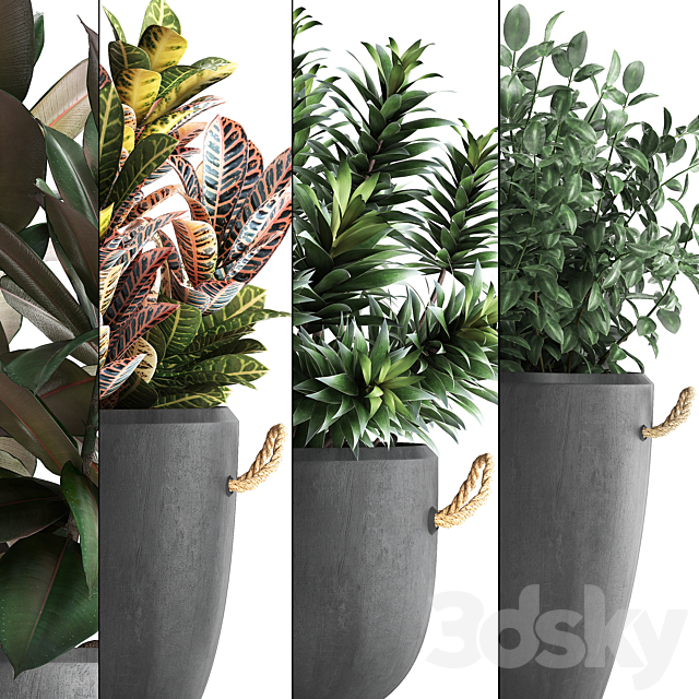 Collection of exotic plants in modern black concrete pots and flowerpots with Ficus robusta alokasia croton dracaena. Set 393 3ds Max - thumbnail 2