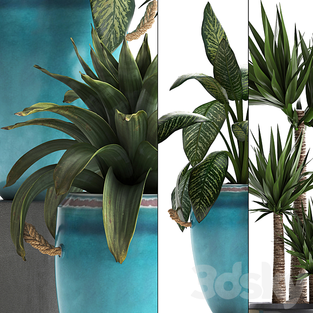 Collection of exotic plants in modern multicolored pots and vases with Fan palm bromelia Howea Yucca Dieffenbachia. Set 394 3ds Max - thumbnail 2