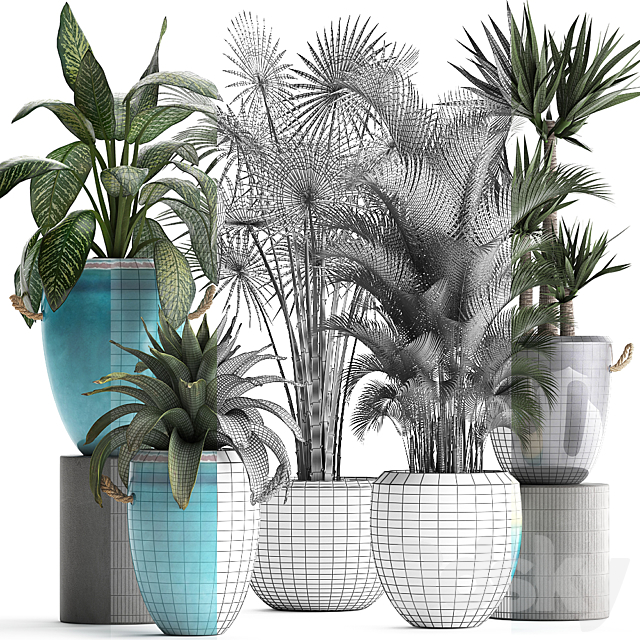 Collection of exotic plants in modern multicolored pots and vases with Fan palm bromelia Howea Yucca Dieffenbachia. Set 394 3ds Max - thumbnail 3