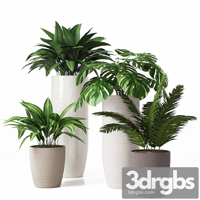 Collection of Indoor Plants 01 2 3dsmax Download - thumbnail 1