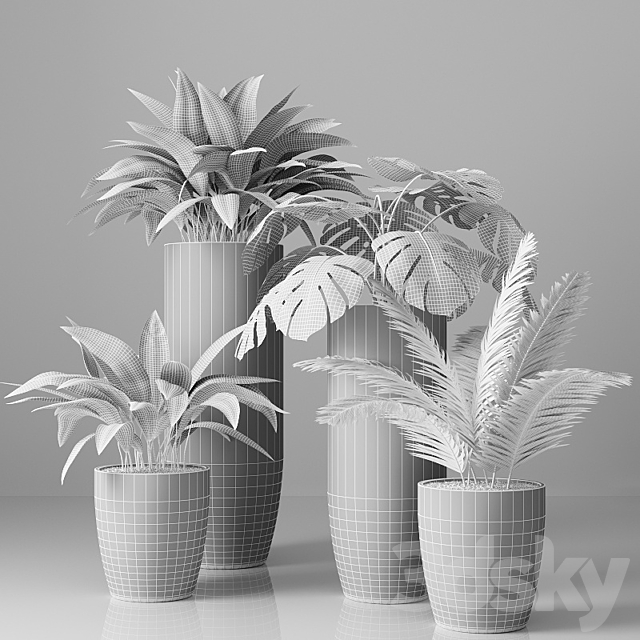 Collection of indoor plants 01 3DSMax File - thumbnail 3