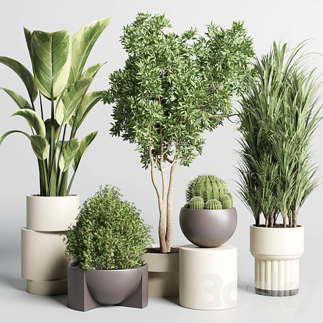 Collection of indoor plants with modern minimal pots 170 3ds Max - thumbnail 1