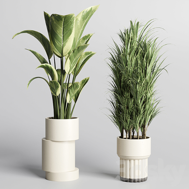 Collection of indoor plants with modern minimal pots 170 3ds Max - thumbnail 2