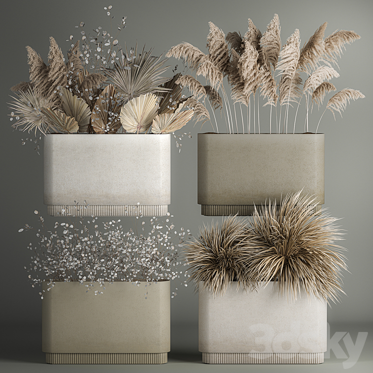 Collection of plant bouquets of dried flowers moonflower dry palm branches dry grass natural decor .1121. 3DS Max Model - thumbnail 1