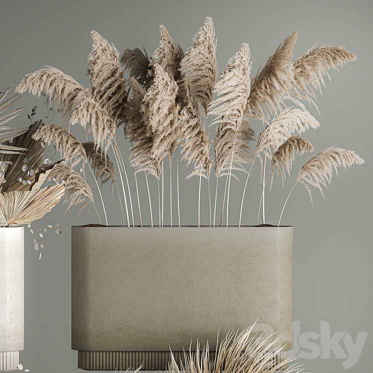 Collection of plant bouquets of dried flowers moonflower dry palm branches dry grass natural decor .1121. 3DS Max Model - thumbnail 2