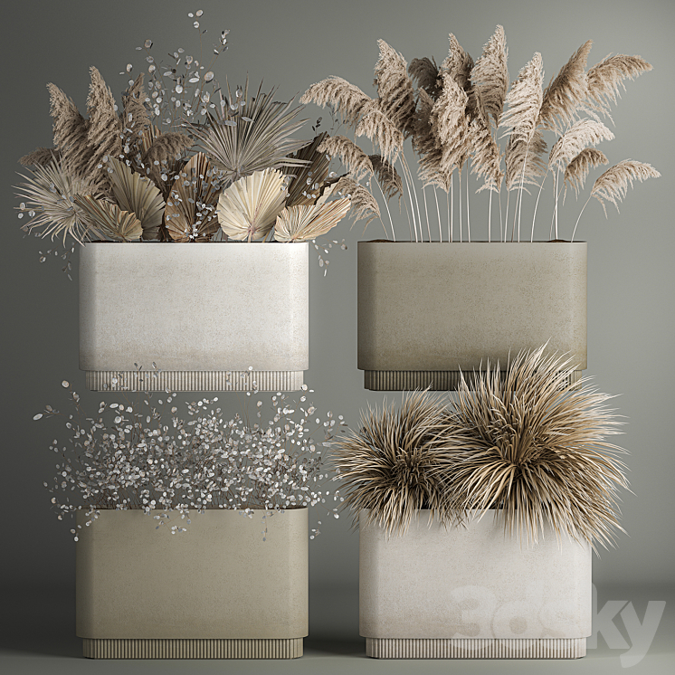 Collection of plant bouquets of dried flowers moonflower dry palm branches dry grass natural decor .1121. 3DS Max - thumbnail 1