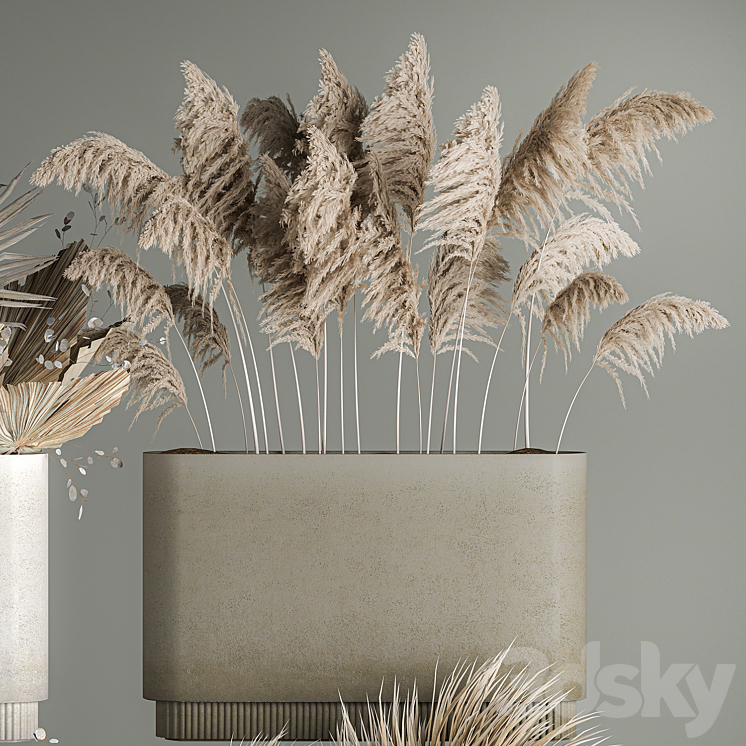 Collection of plant bouquets of dried flowers moonflower dry palm branches dry grass natural decor .1121. 3DS Max - thumbnail 2