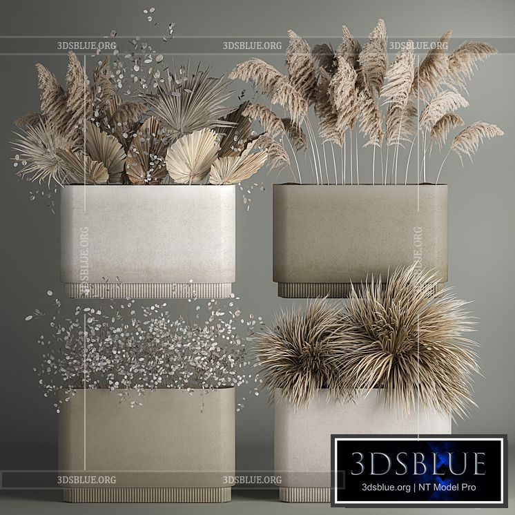 Collection of plant bouquets of dried flowers moonflower dry palm branches dry grass natural decor .1121. 3DS Max - thumbnail 3