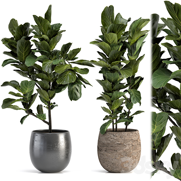 Collection of plants-006 3DS Max Model - thumbnail 1