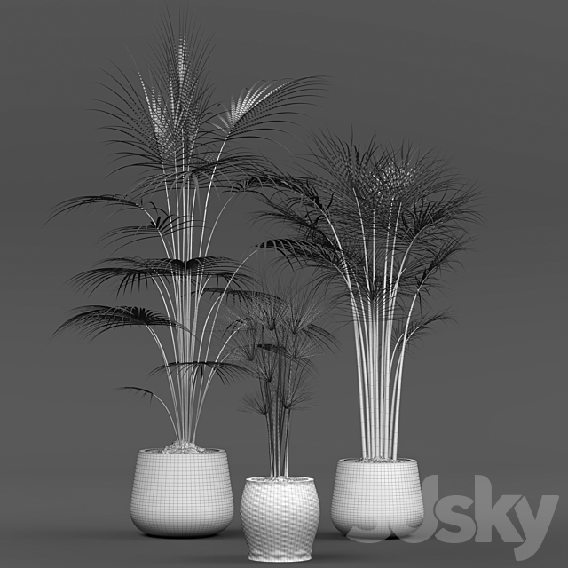 Collection of plants 01 3DS Max Model - thumbnail 2