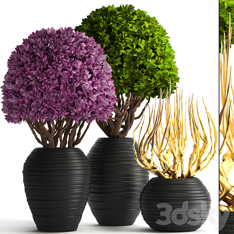 Collection of plants 129. Boxwood topiary topiary decorative vases decor golden branches 3DS Max - thumbnail 1