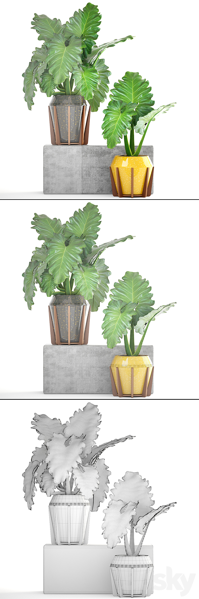 Collection of plants 154. Philodendron. pot. flowerpot. bush. tropical. indoor. decorative 3DSMax File - thumbnail 3