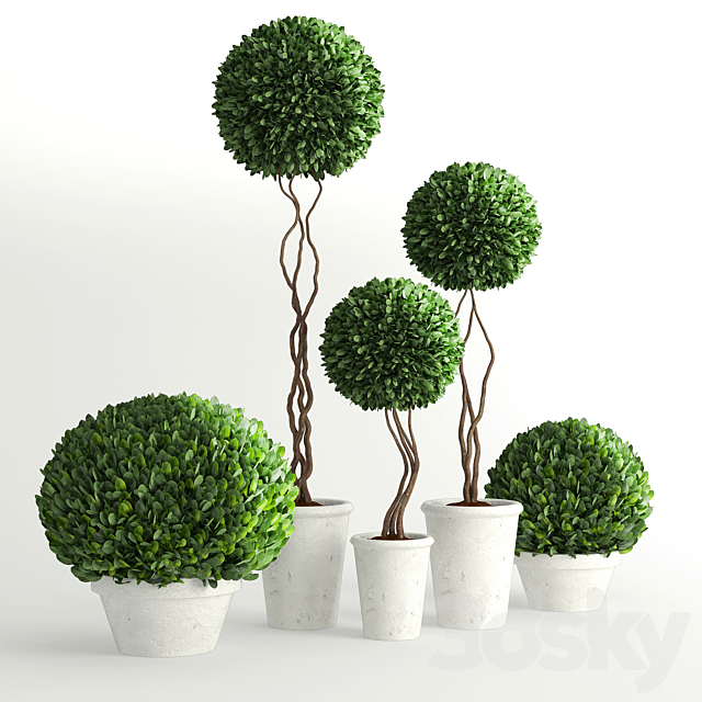 Collection of Plants 2 3DSMax File - thumbnail 1