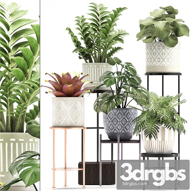 Collection of plants 333. flower shelf, stand, zamioculcas, monstera, bromelia, philodendron, houseplants, stand, scandinavian style, flower - thumbnail 1