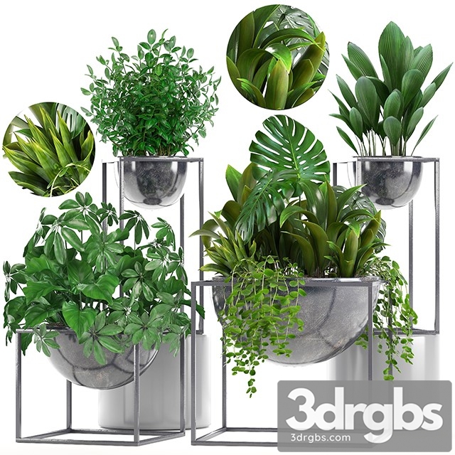 Collection of Plants 3dsmax Download - thumbnail 1