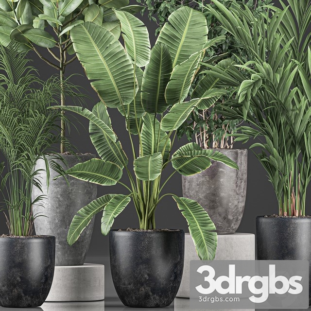 Collection of Plants 610 3dsmax Download - thumbnail 1