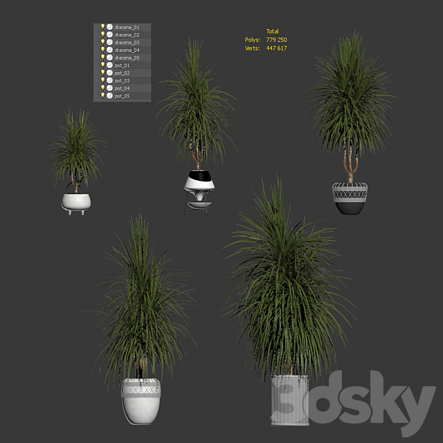 Collection of plants. Dracaena v2 3DSMax File - thumbnail 3