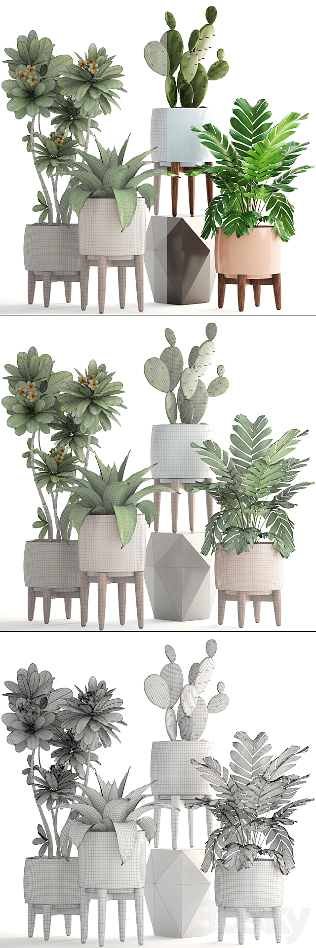 Collection of plants. frangipani agave palm cactus prickly pear Hamedorea palm flower pot 3DS Max Model - thumbnail 3