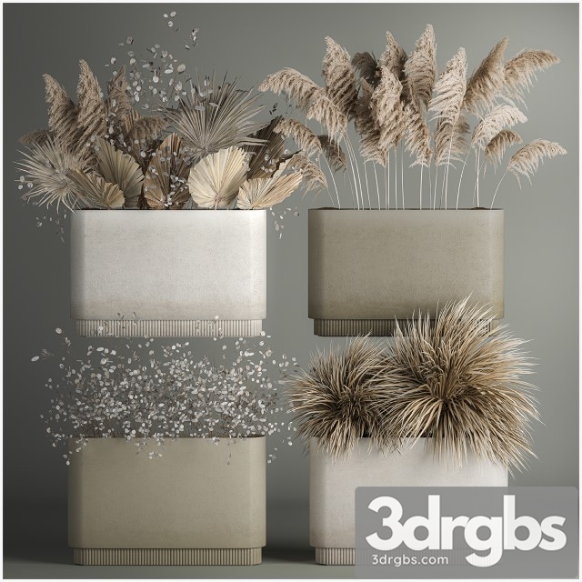 Collection of Plants From Dried Flowers 3dsmax Download - thumbnail 1