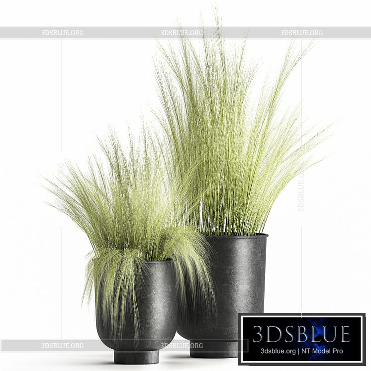 Collection of plants in black metal pots with bush grass grass. Set 1004. 3DS Max - thumbnail 3