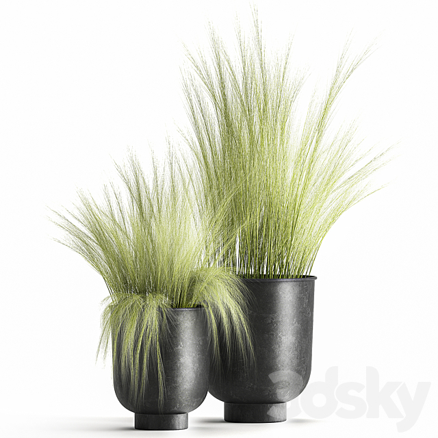 Collection of plants in black metal pots with bush grass grass. Set 1004. 3DSMax File - thumbnail 1