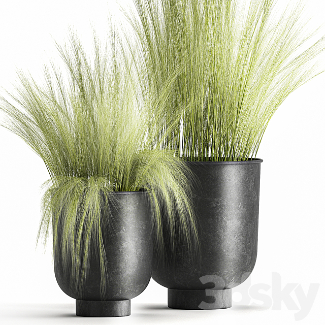 Collection of plants in black metal pots with bush grass grass. Set 1004. 3DSMax File - thumbnail 2