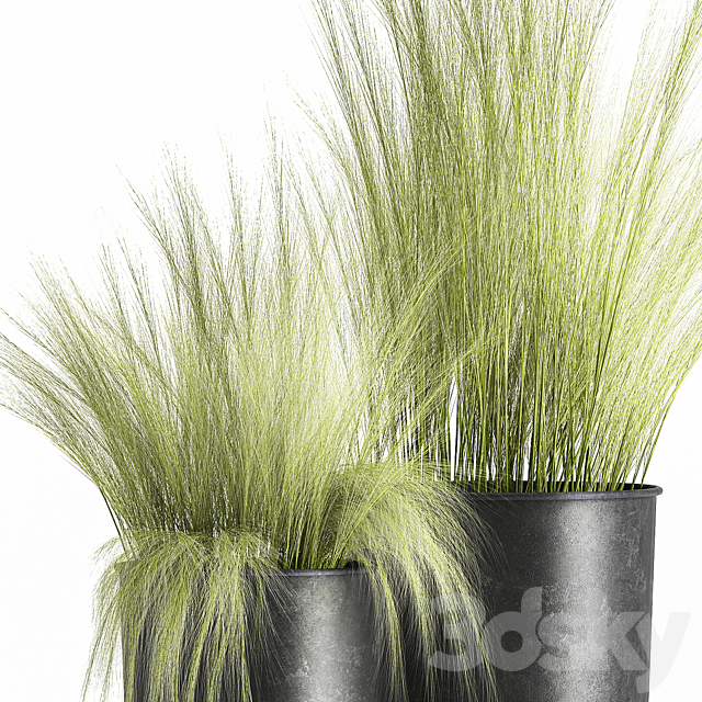 Collection of plants in black metal pots with bush grass grass. Set 1004. 3DSMax File - thumbnail 3