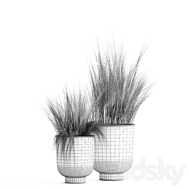 Collection of plants in black metal pots with bush grass grass. Set 1004. 3DSMax File - thumbnail 6