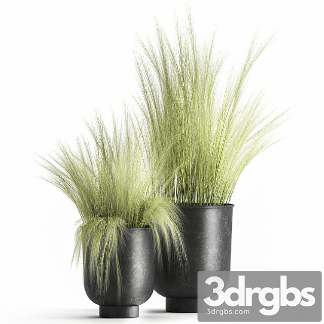 Collection of plants in black metal pots with bush grass grass. set 1004. - thumbnail 1