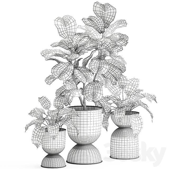 Collection of plants in black metal pots with Ficus lyrata decorative tree. Set 876. 3DS Max Model - thumbnail 5