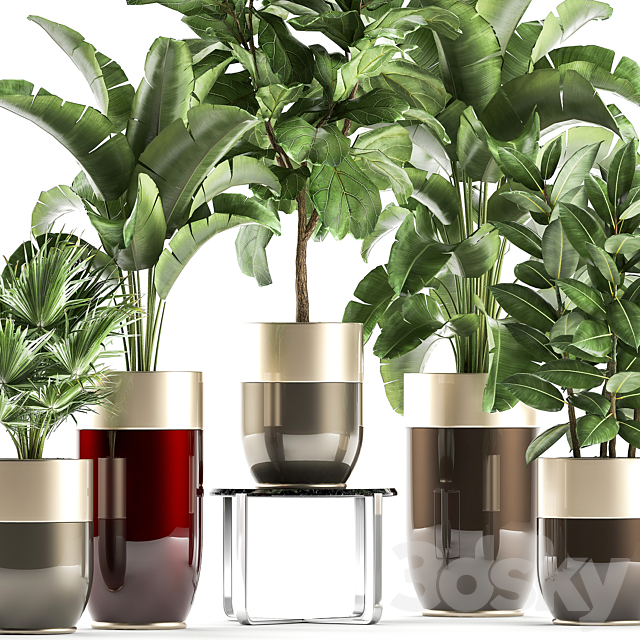 Collection of plants in gold pots Godwin Longhi luxury with Banana palm ficus luxury decor. Set 858. 3DS Max Model - thumbnail 3