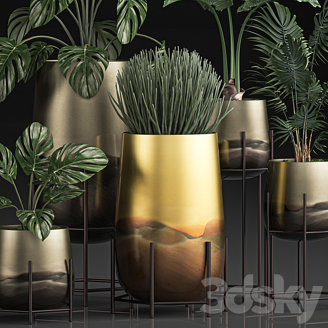 Collection of plants in luxury gold pots on legs with Monstera. palm. hovea. Alokasia. Sansevieria. Set 544. 3DSMax File - thumbnail 3