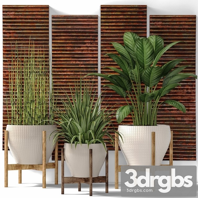 Collection of plants in pots 6. flower, pot, bush, flowerpot, interior, indoor, alocasia, copper decor, panels, wall decor, uttermost, paintings, abstraction, luxury - thumbnail 1