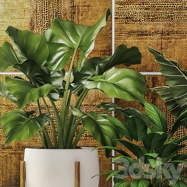 Collection of plants in pots 7. Flower pot bush flowerpot interior indoor alocasia luxury gold paintings abstraction luxury 3DS Max Model - thumbnail 2