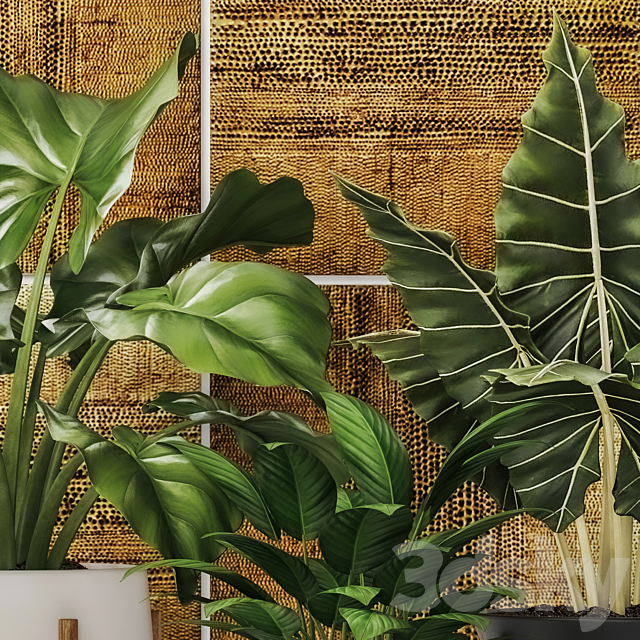 Collection of plants in pots 7. Flower pot bush flowerpot interior indoor alocasia luxury gold paintings abstraction luxury 3DS Max Model - thumbnail 3