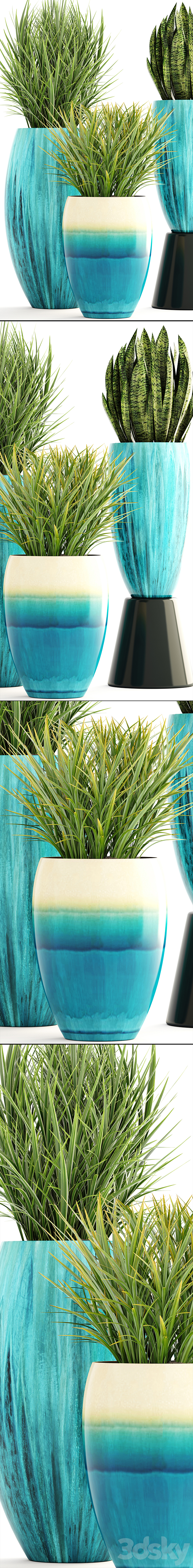 Collection of plants. Pot flowerpot street decor landscape design bush grass sansevieria turquoise interior decorative Chlorophytum 3DS Max Model - thumbnail 2